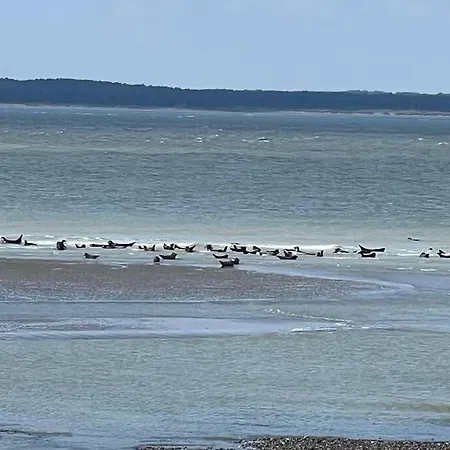 Ferienhaus Maison La Coulee Douce